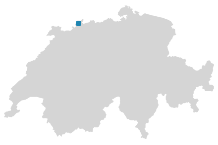 Schweizkarte: Wo ist Binningen?