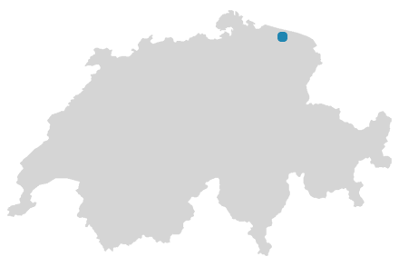Schweizkarte: Wo ist Birwinken?
