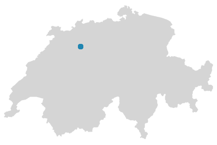 Schweizkarte: Wo ist Subingen?