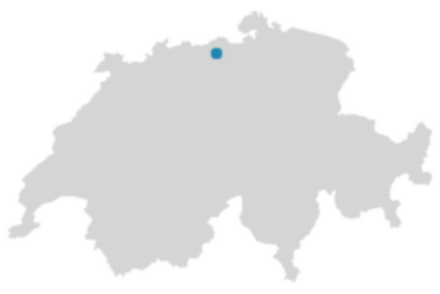 Schweizkarte: Wo ist Riniken?