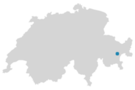 Schweizkarte: Wo ist Zuoz?