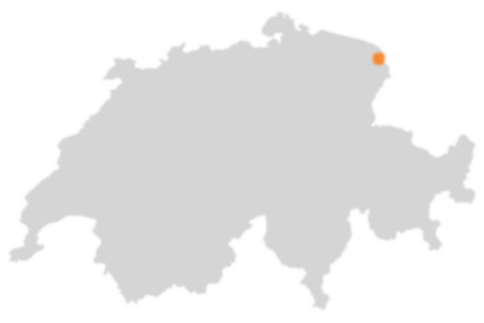 Wo liegt Altenrhein?