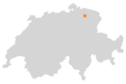 Wo liegt Bronschhofen?